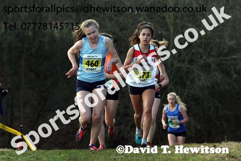 Womens under-17s and 20s North Eastern Cross Country, Aykley Heads, Durham. Photo: David T. Hewitson/Sports for All Pics